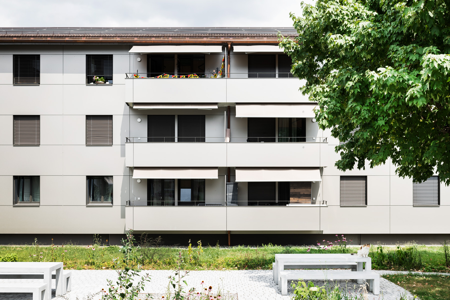 Renovation Mehrfamilienhäuser, Thun