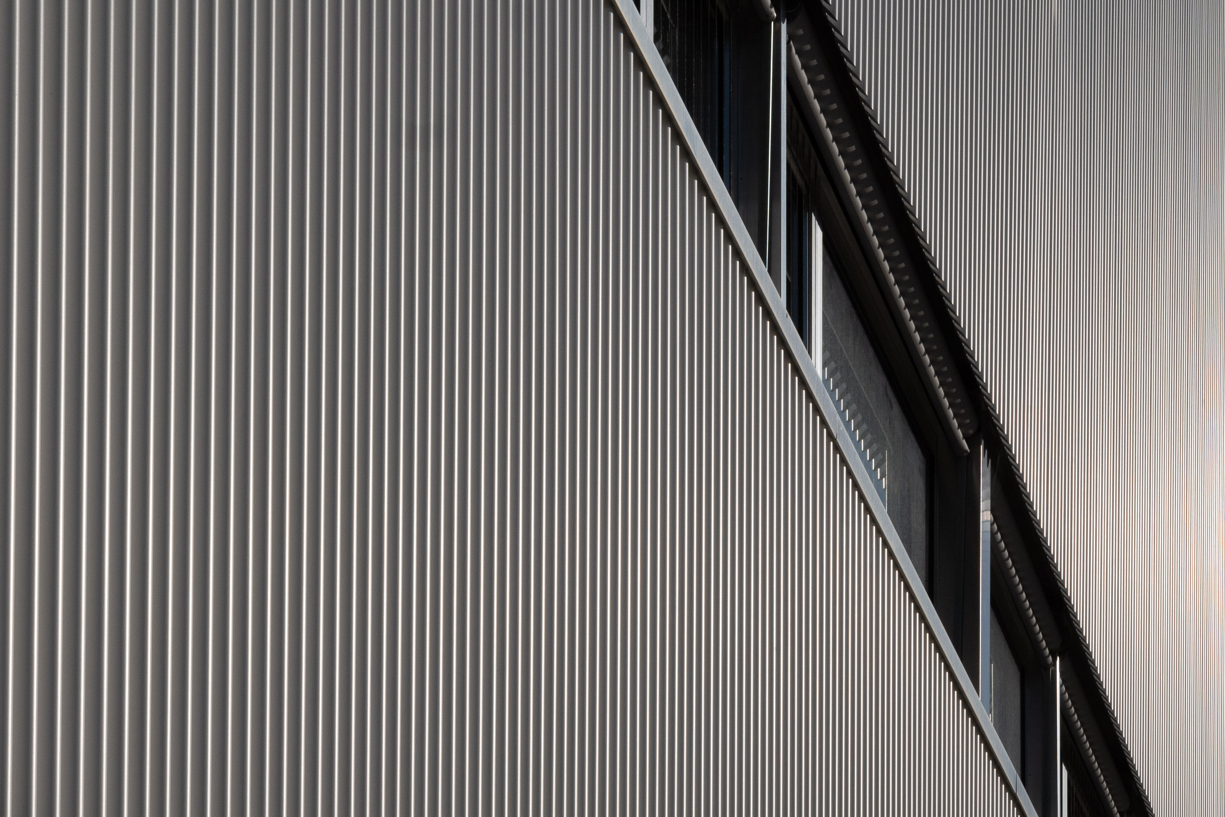 Schule Freilager, Zürich