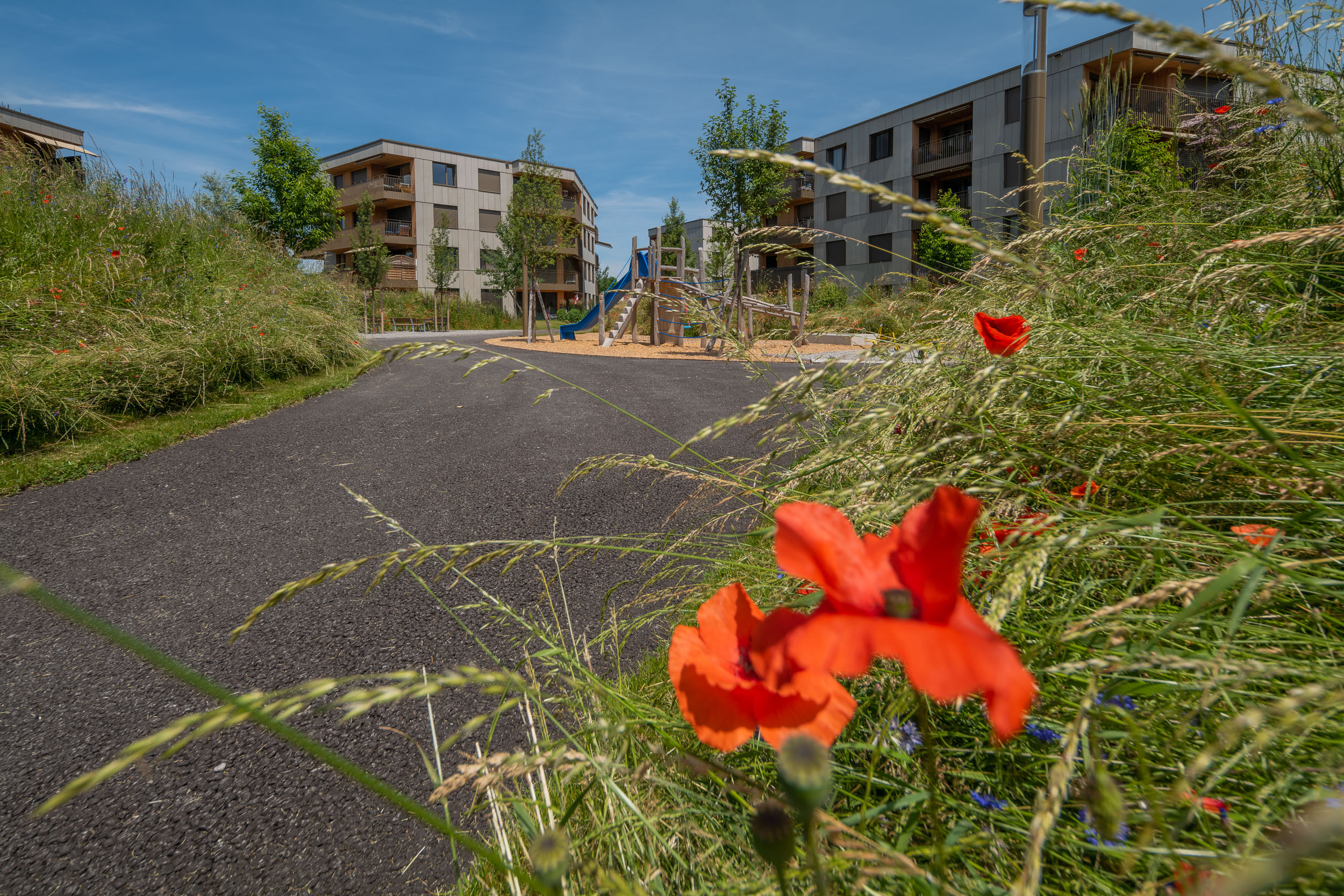 MFH Menzipark, Widnau MFH Menzipark, Widnau